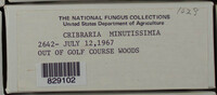 Image Associated With the Occurence